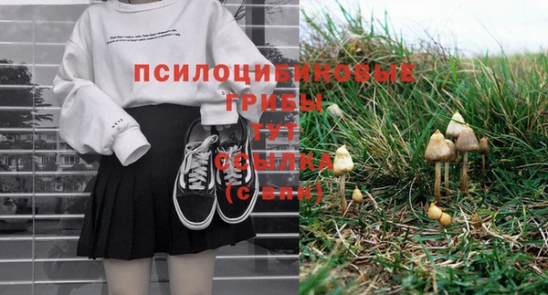 метадон Михайловск