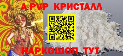 стаф Гатчина