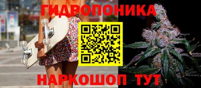 стаф Гатчина