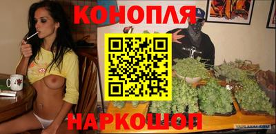 стаф Гатчина