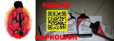 стаф Гатчина