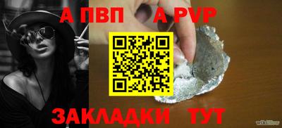 стаф Гатчина