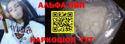 стаф Гатчина