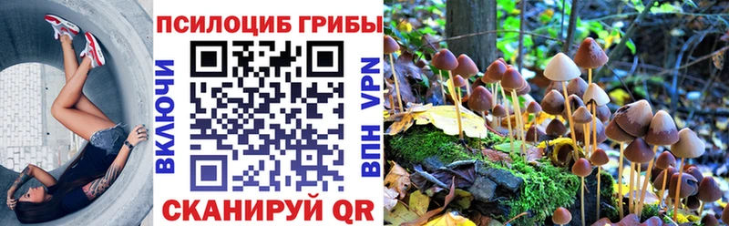 Галлюциногенные грибы Magic Shrooms  мега ONION  Нарткала 