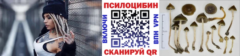 Псилоцибиновые грибы Magic Shrooms Нарткала